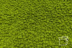 ByNature Lichen Spring Green box 4kg (fin de la série)