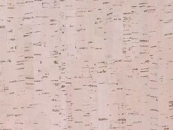 Divina Lemon Rose 2mm (70 cm x 40 m)
