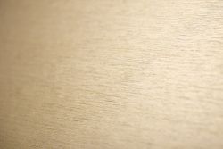 Cover Styl' NE47 Soft Gold 1,22m x 50m (122 cm x 50 m)