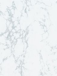 Cover Styl' NG31 Polished White 1,22m x 50m (122 cm x 50 m)