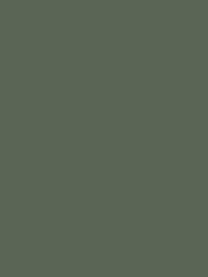 Cover Styl' NH08 Forest Green 1,22m x 50m (122 cm x 50 m)
