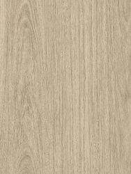 Cover Styl' NH75 Eucalyptus 1,22m x 50m (122 cm x 50 m)