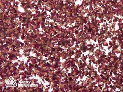 Organoid Rose Petals Translucent (136 cm x 10 m)