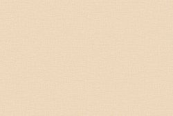 SOIF Fabric TG4000 Champagne (122 cm x 50 m)