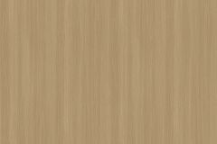 SOIF PM Wood ZG5037 Elm Oak (122 cm x 50 m)