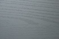 Cover Styl' AB05 Blue Ebony 1,22m x 50m (122 cm x 50 m)