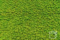 ByNature Lichen Grass Green box 4kg