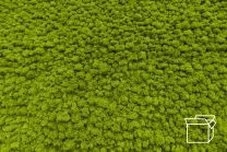 ByNature Lichen Spring Green box 4kg