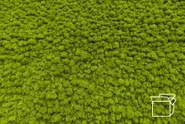 ByNature Lichen Spring Green box 4kg