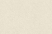 SOIF PM Stone CG5529 Travertine Misty (122 cm x 50 m)