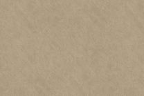 SOIF PM Stone CG5530 Travertine Taupe (122 cm x 50 m)