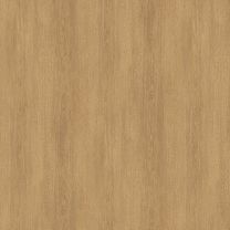 SOIF PM Wood CG5532 Grain Classic Oak (122 cm x 50 m)
