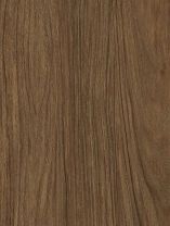 Cover Styl' HR AA14 Original Oak (122 cm x 20 m)
