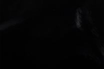 Cover Styl' J5 Lacquered Black 1,22m x 50m (122 cm x 50 m)