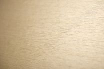 Cover Styl' NE47 Soft Gold 1,22m x 50m (122 cm x 50 m)