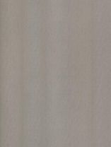 Cover Styl' NE51 Champagne Silver 1,22m x 50m (122 cm x 50 m)