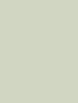 Cover Styl' NH05 Pistachio Green 1,22m x 50m (122 cm x 50 m)