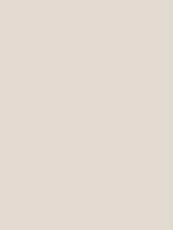 Cover Styl' NH22 Warm Grey 1,22m x 50m (122 cm x 50 m)