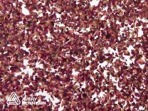 Organoid Rose Petals Translucent (136 cm x 10 m)