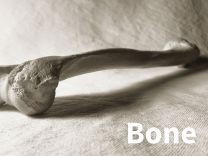 Squid Bone (137 cm x 50 m)