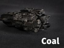 Squid Coal (137 cm x 50 m)