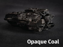 Squid Opaque Coal (137 cm x 25 m)