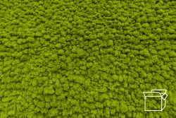 ByNature Lichen Spring Green box 4kg (einde reeks)