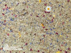 Organoid Mountain Hay & Marguerites (136 cm x 10 m)